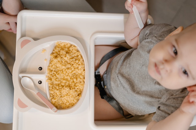 when do babies start eating pureed food
