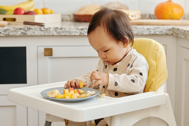 when do babies start eating pureed food
